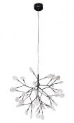 Подвесной светильник Crystal Lux EVITA SP36 BLACK/TRANSPARENT, цвет: чёрный, 36×G4