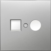 Накладка для розеток RJ45+SAT, 2-я, благородная сталь, серия R98 METAL